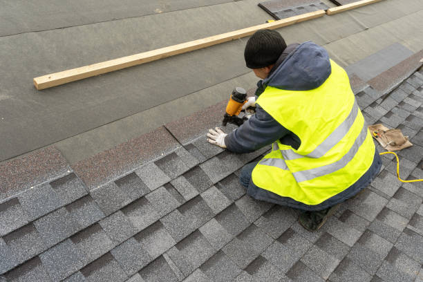 Best Roof Gutter Cleaning  in Ridge, NY
