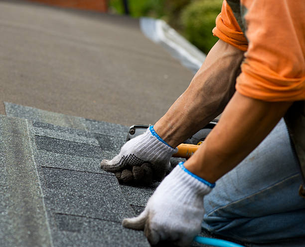 Best Local Roofing Companies  in Ridge, NY